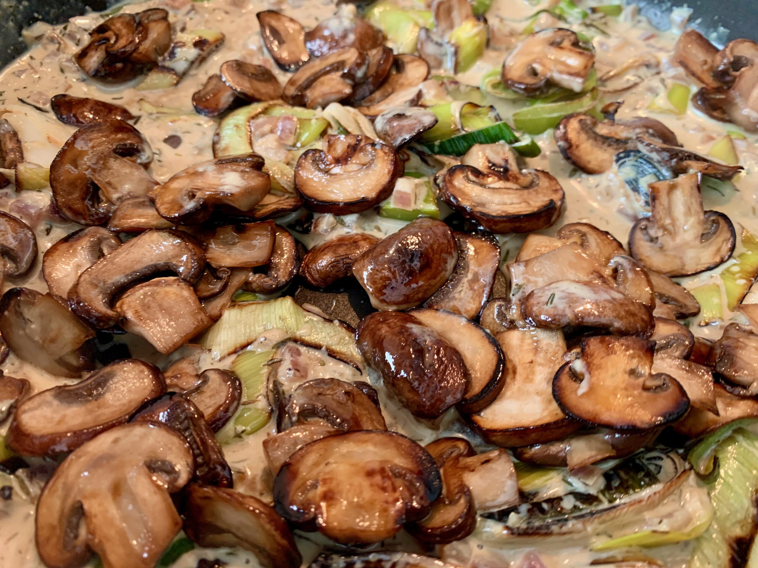 Creamy mushroom pasta